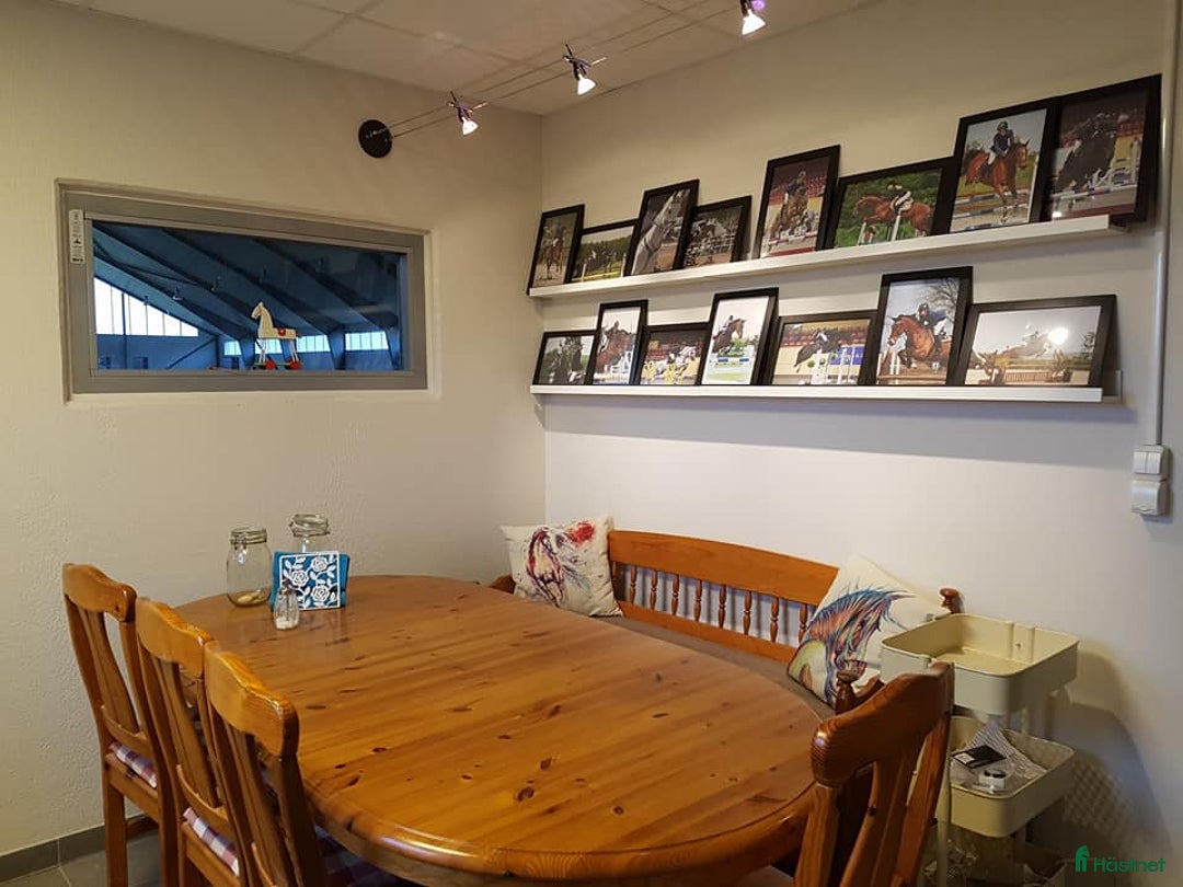  stallplats finnes: Stall om 6-10 boxar uthyres i Kristianstad - Annons 9