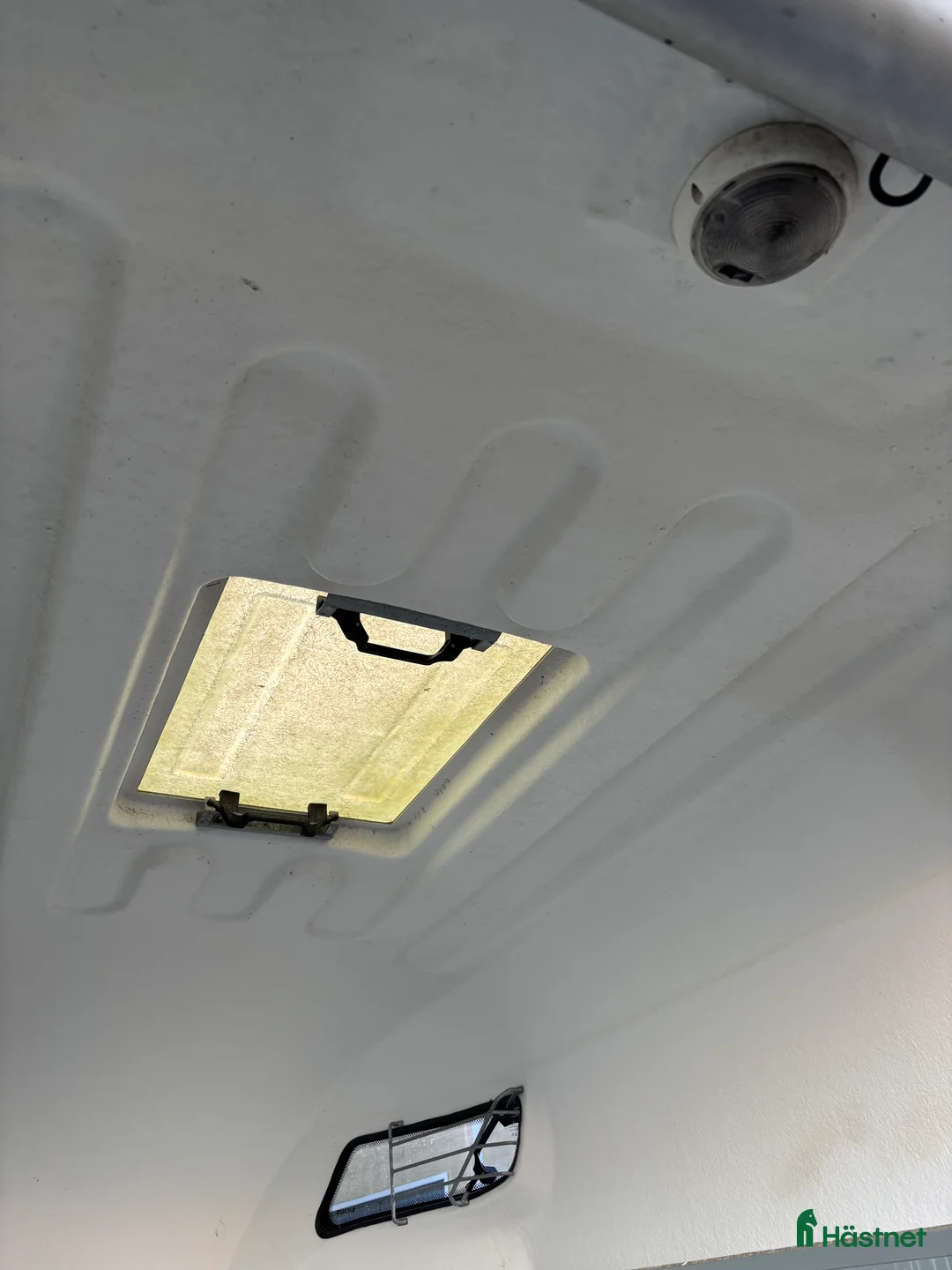 Hästtransporter  fordon & transport till salu: Sirius med sadelkammare - Annons 5