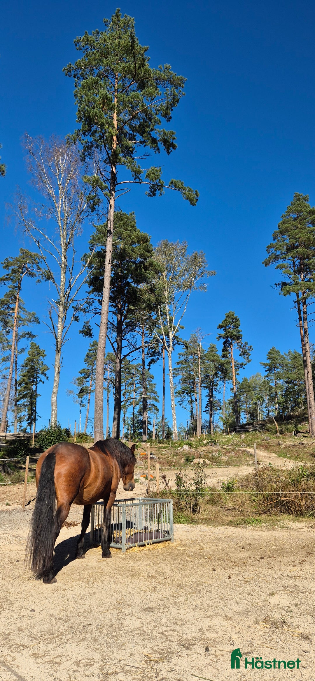  stallplats finnes: Stallplats för lättfödd i Tullinge  i Tullinge - Annons 1