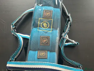 Övrig Hästutrustning hästutrustning Olika full grimmor med matchende lindor i Vellinge - Annons 14