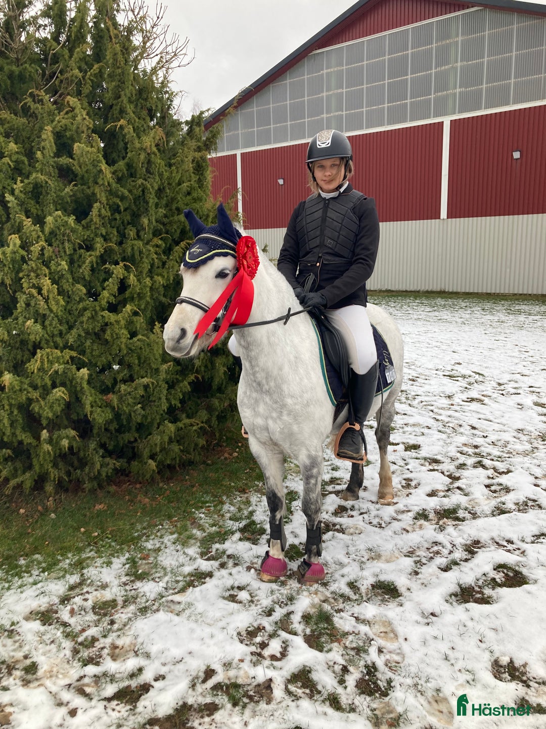 Allround hästar till salu: B- ponny säljes!  i Falköping - Annons 2