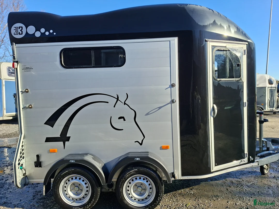 Hästtransporter  fordon & transport till salu: Gold 3 - Annons 1