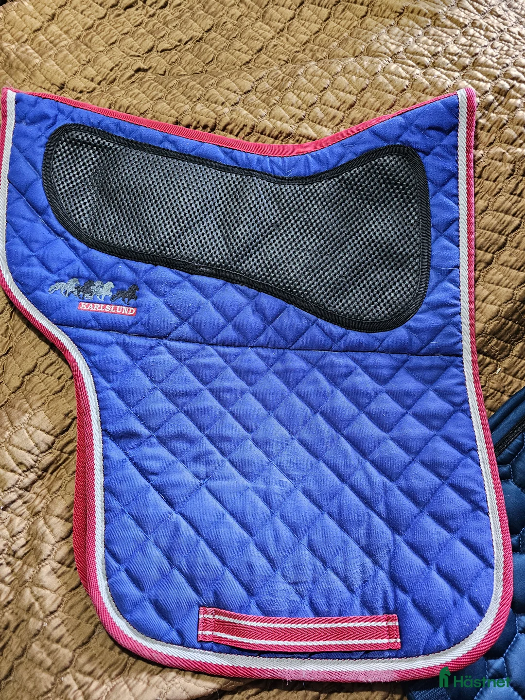 Schabrak & Vojlockar hästutrustning till salu: Catago vojlock i Söråker - Annons 8