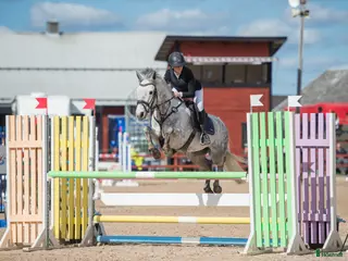 hästar Vår ögonsten letar efter nytt hem❤️ - Annons 2