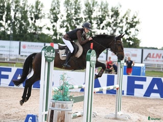 hästar Har ni våran nya vän. i Västerås - Annons 2