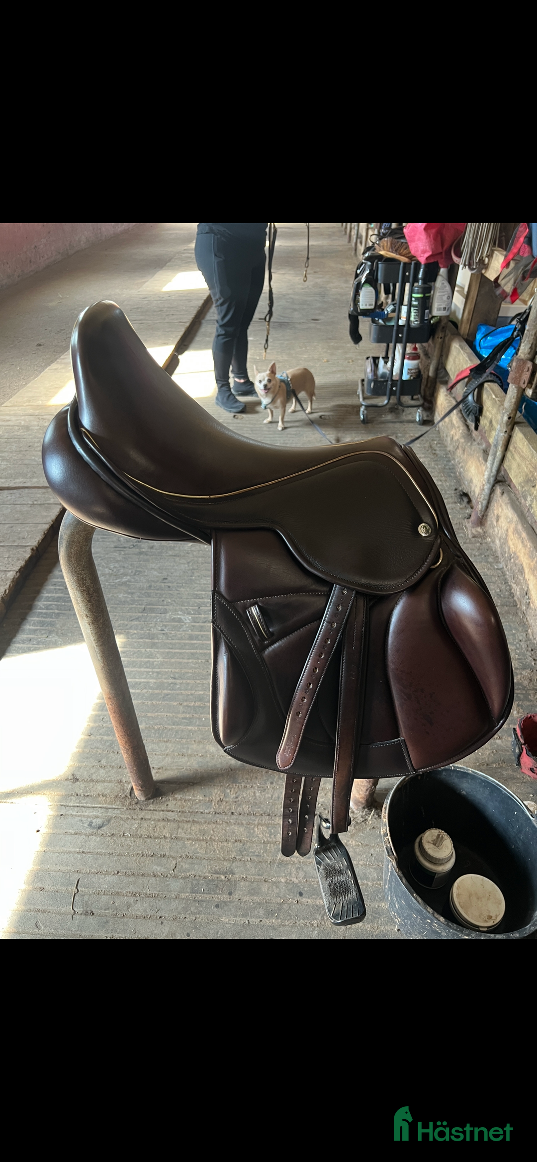 Sadlar hästutrustning till salu: Superfin enkelkåpad hoppsadel! i Svenljunga - Annons 1