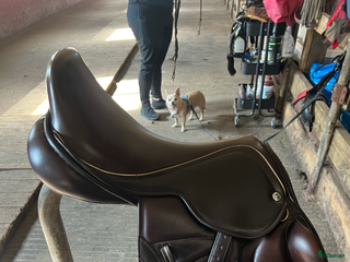 Sadlar hästutrustning till salu: Superfin enkelkåpad hoppsadel! i Svenljunga - Annons 20