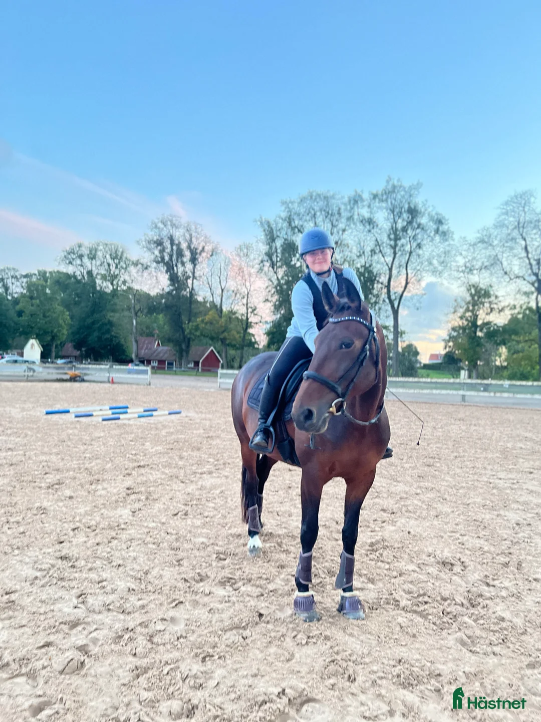 Allround hästar till salu: Snäll allround häst till salu i Vejbystrand - Annons 7