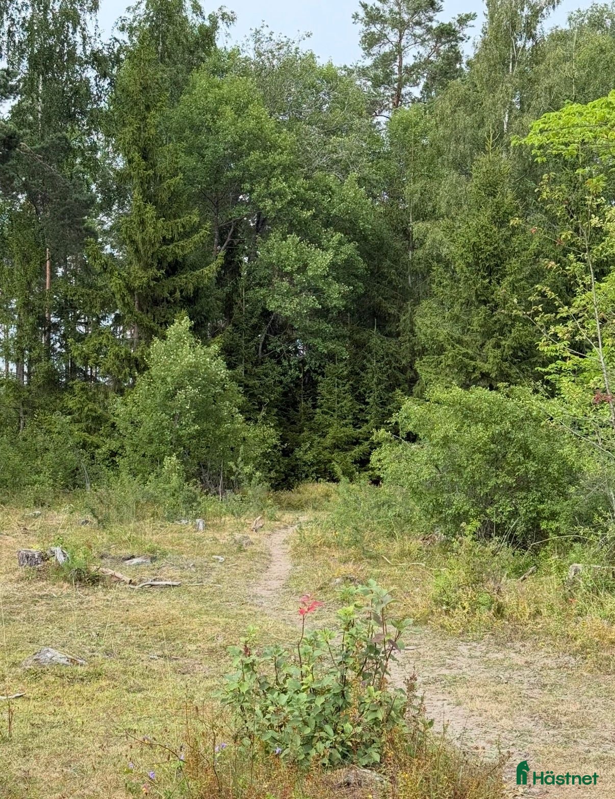  stallplats Ny lösdrift med tillgång till ridhus  - Annons 13