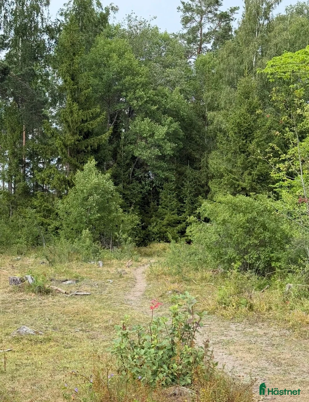  stallplats finnes: Ny lösdrift med tillgång till ridhus  - Annons 1