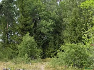 stallplats Ny lösdrift med tillgång till ridhus - Annons 13