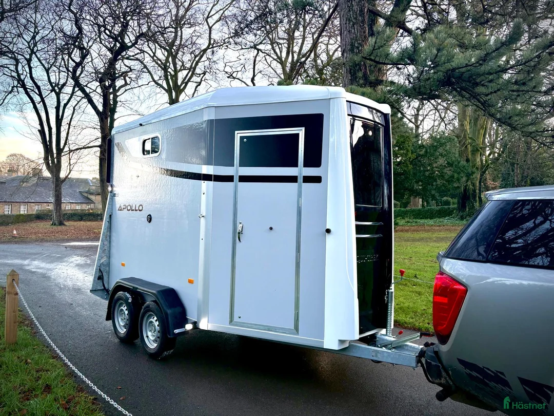 Hästtransporter  fordon & transport till salu: Equi trek apollo - Annons 2