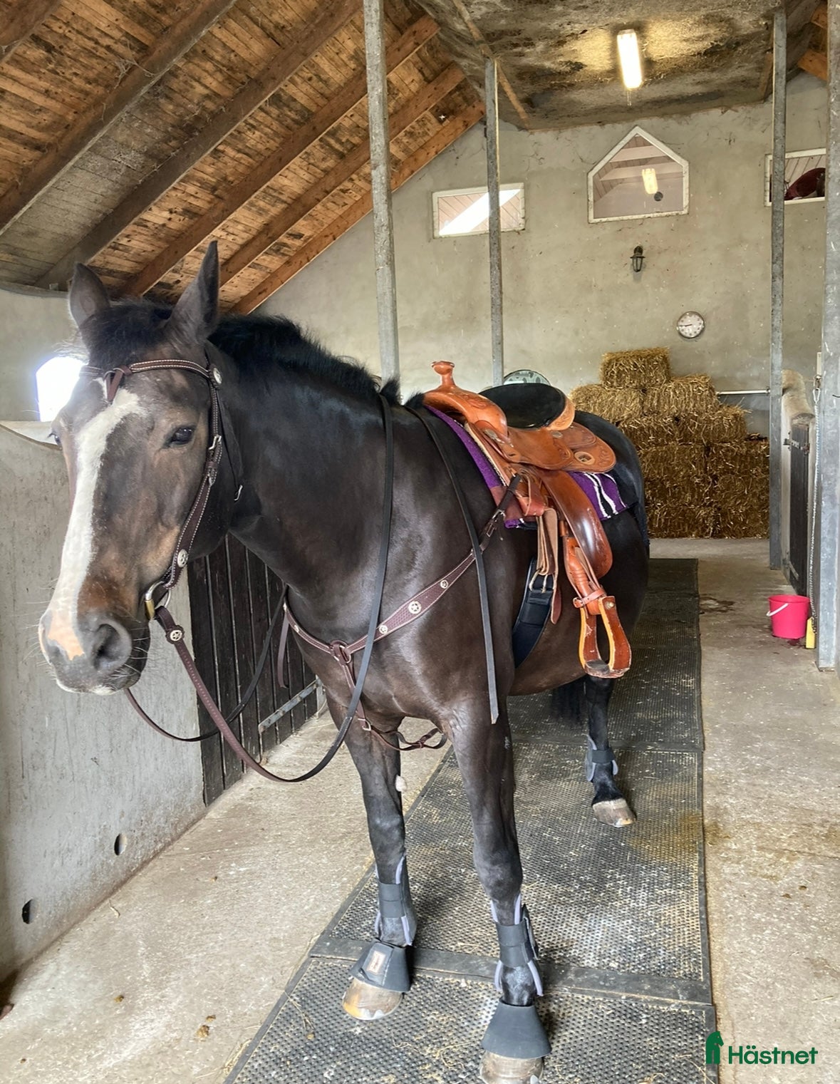 Sadlar hästutrustning till salu: A.Frinta Westernsadel säljes i Häljarp - Annons 14