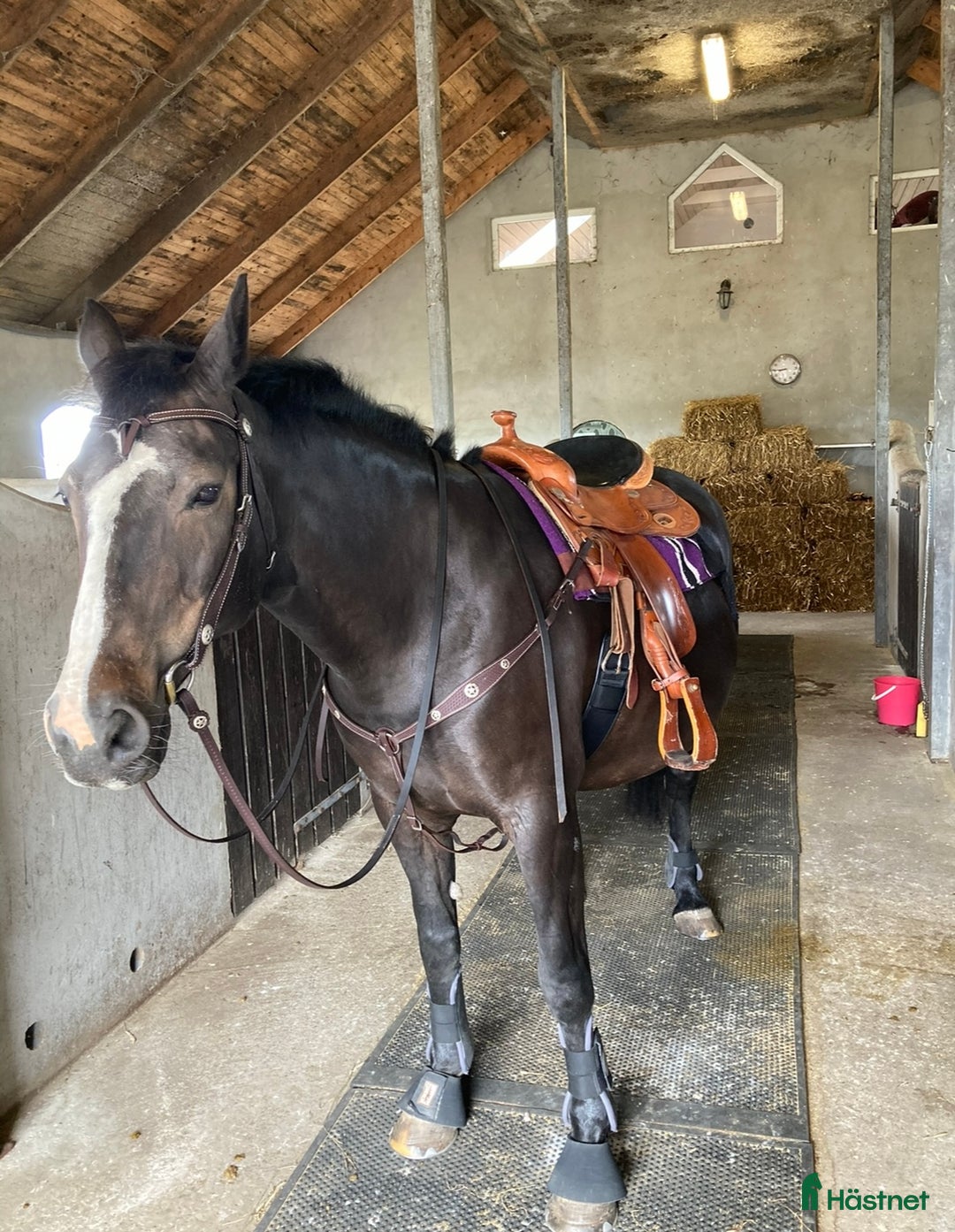 Sadlar hästutrustning till salu: A.Frinta Westernsadel säljes i Häljarp - Annons 1