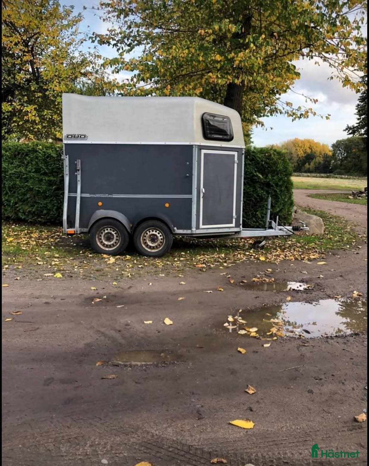 Hästtransporter  fordon & transport till salu: Böckmann duo  - Annons 3