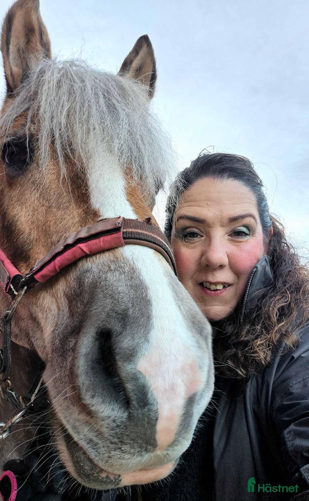 Galleribild {{count}}