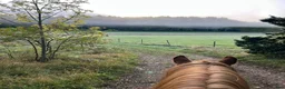  stallplats finnes: Ledig boxplats för fånghäst! - Annons 3