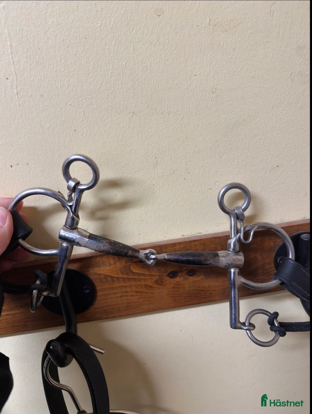 Bett hästutrustning till salu: Fager Anna sötmalm baby pelham - Annons 2