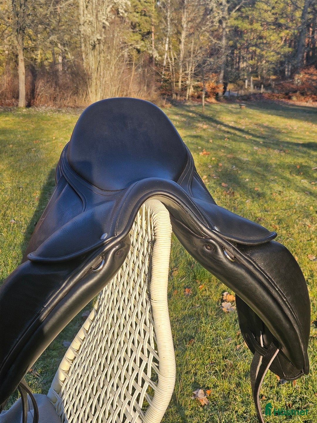 Sadlar hästutrustning till salu: Välvårdad Childeric DIAP i Tidaholm - Annons 4