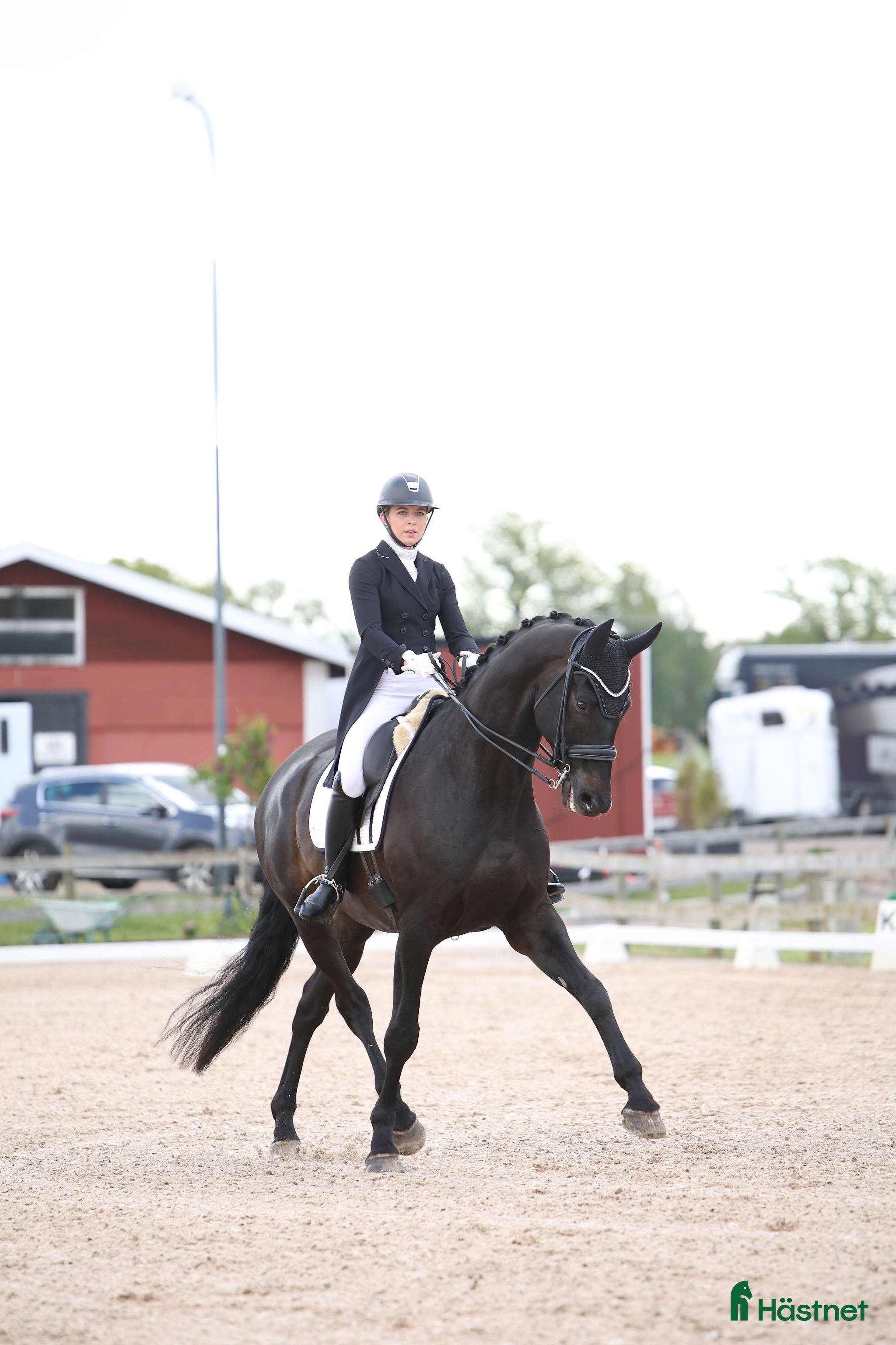  hästar Fantastisk häst för Lilla Rundan/J/YR i Linköping - Annons 4