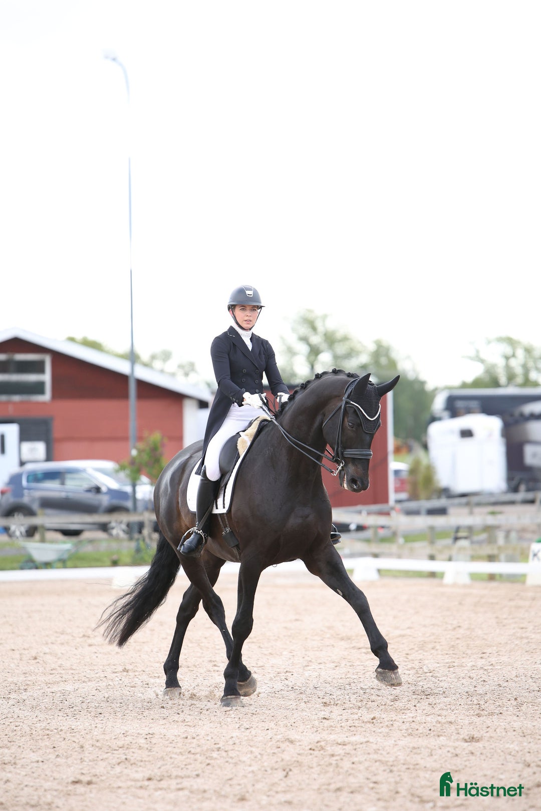 Dressyr hästar till salu: Fantastisk häst för Lilla Rundan/J/YR i Linköping - Annons 1