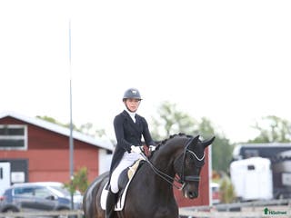 hästar Fantastisk häst för Lilla Rundan/J/YR i Linköping - Annons 16