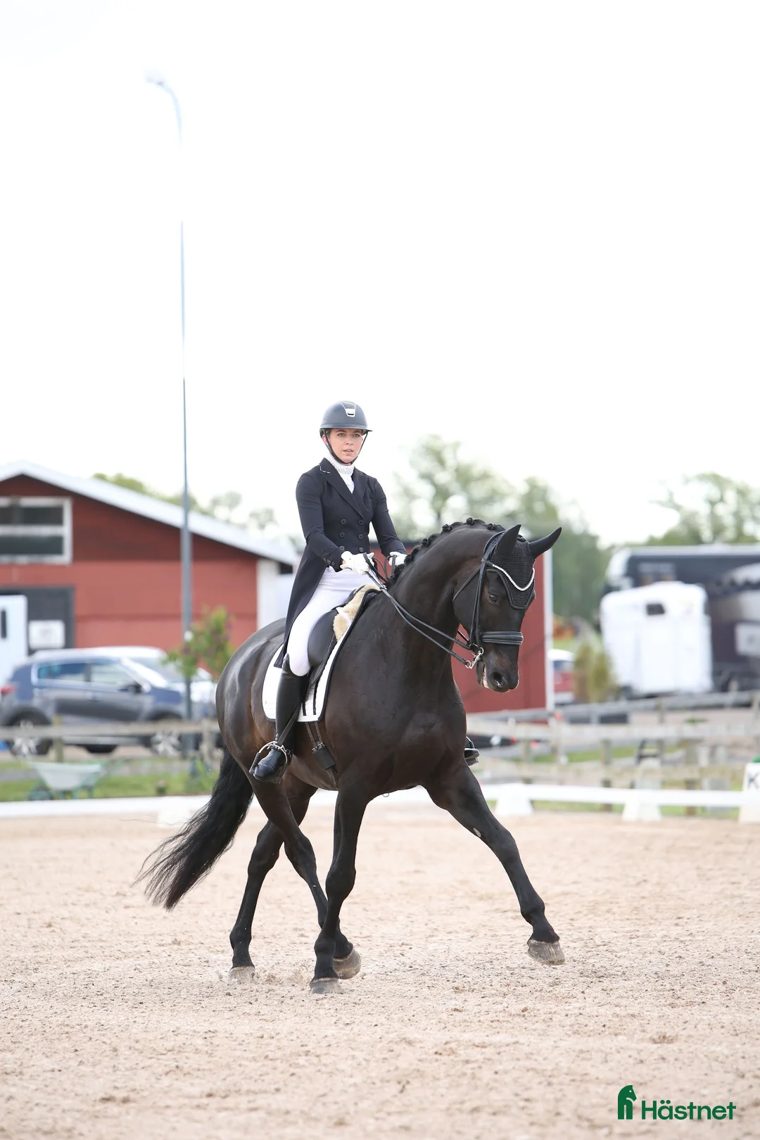 Dressyr hästar till salu: Fantastisk häst för Lilla Rundan/J/YR i Linköping - Annons 1