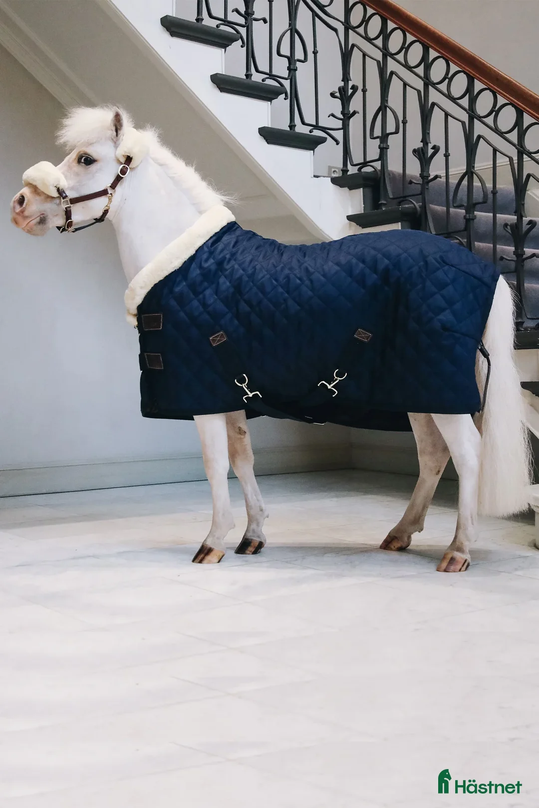 Täcken hästutrustning till salu: Kentucky Show Rug Tiny Kollektion Navy stl 70 - Annons 2