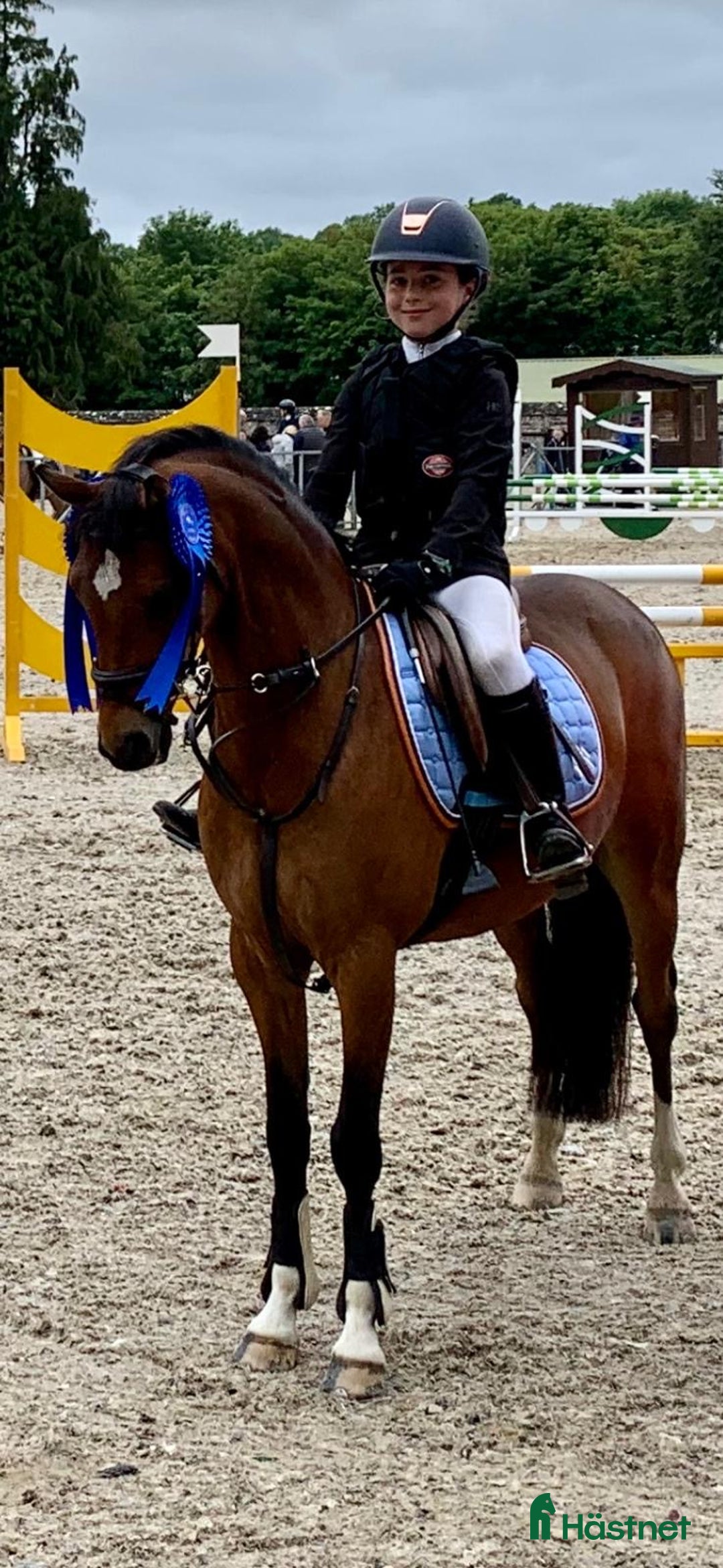 Hoppning hästar till salu: Top 128 pony, record to 1m!!!  i Stockholm - Bild 11