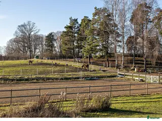 stallplats Stallplats Nyborgs Gård - Annons 5
