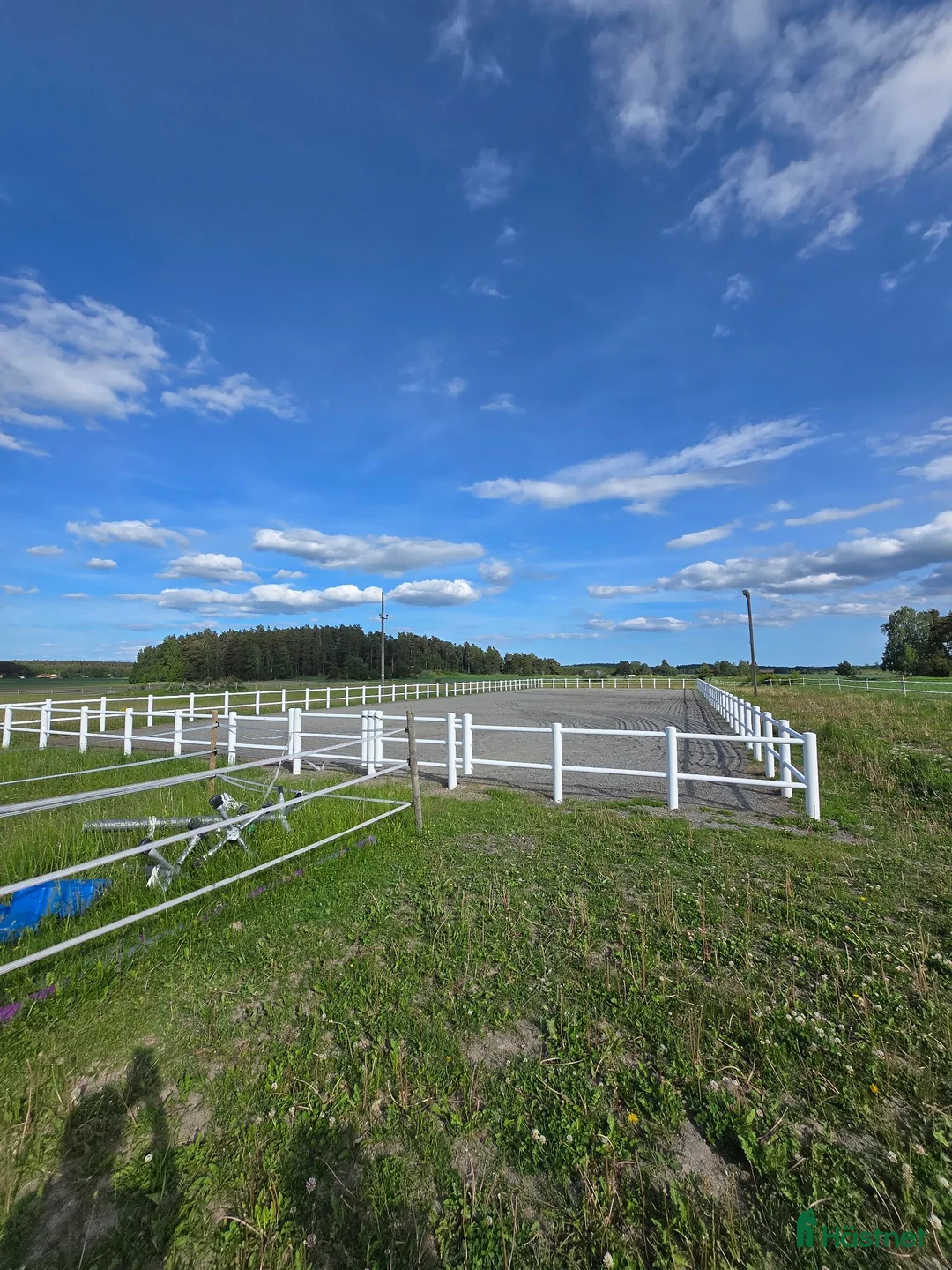 stallplats finnes: Lösdrift för ston/unghästar - Annons 4