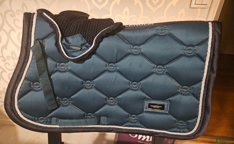 Schabrak & Vojlockar hästutrustning till salu i Nybro - Annons 18