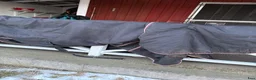 Övrig Hästutrustning hästutrustning till salu: Blandade hästsaker  i Borås - Annons 4