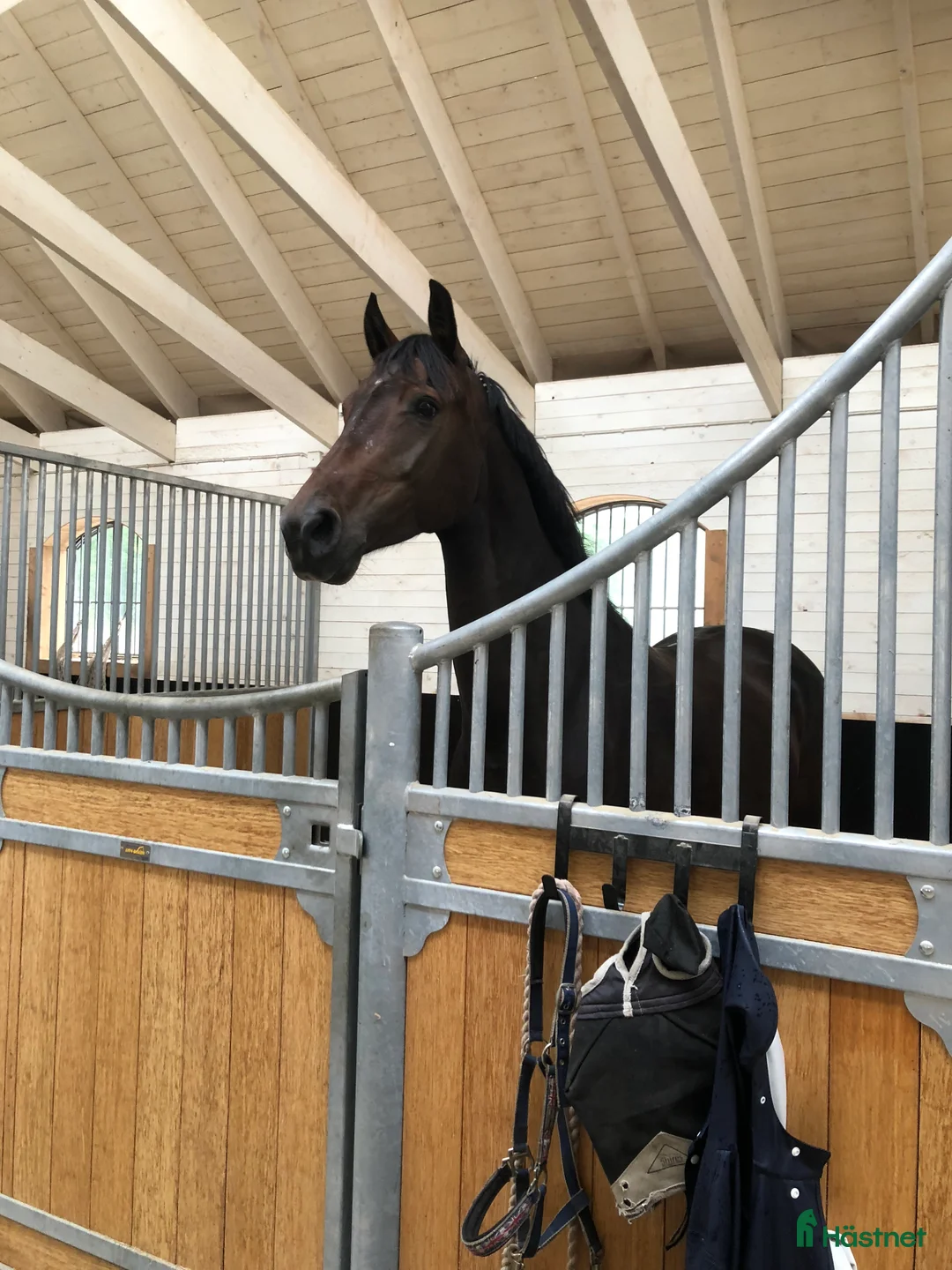  stallplats finnes: Lediga stallplatser Älmhult i Älmhult - Annons 4