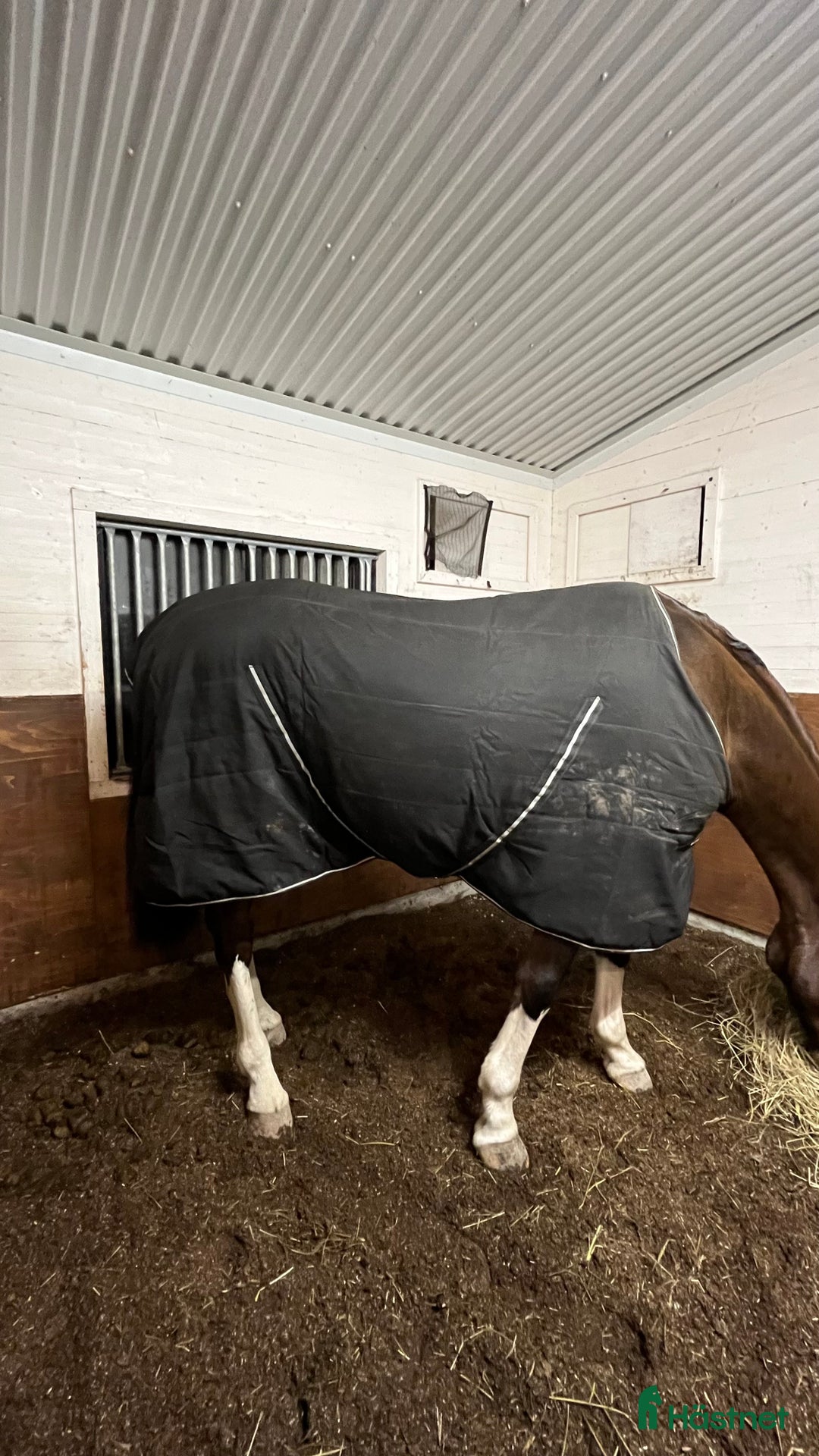 Täcken hästutrustning till salu: Rambo stalltäcke 100g i Tierp - Annons 1