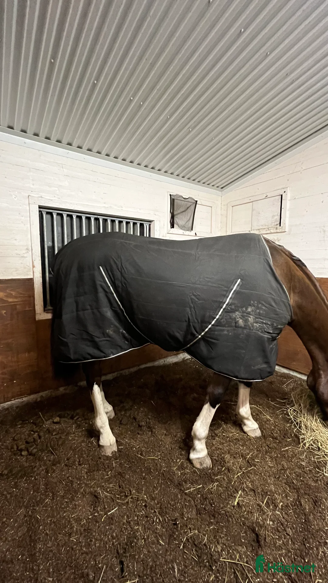 Täcken hästutrustning till salu: Rambo stalltäcke 100g i Tierp - Annons 1