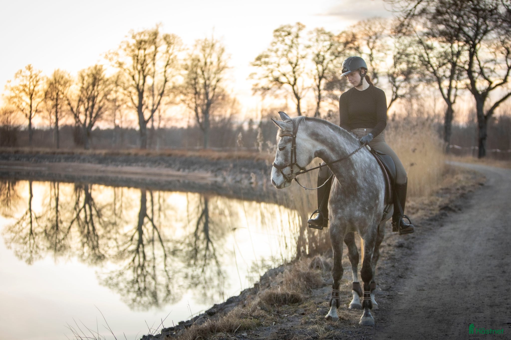  stallplats SÖKES: Boende och/eller stall-/lösdriftsplats - Annons 4