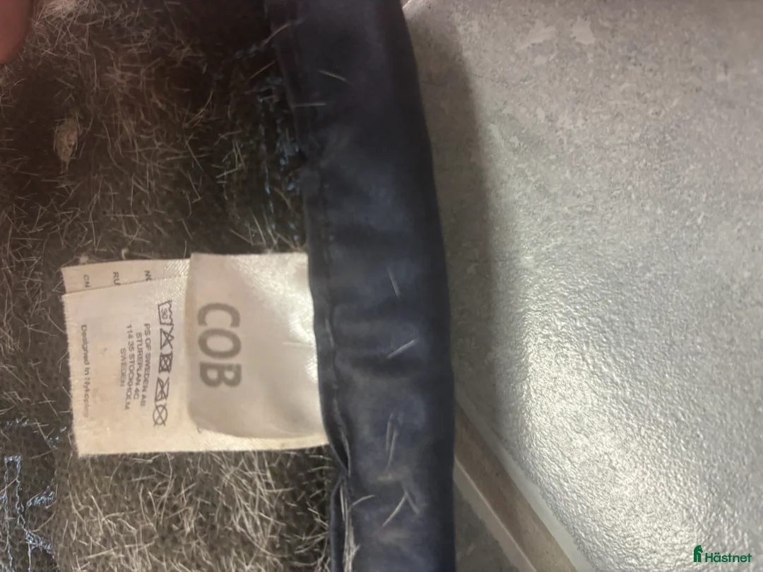 Schabrak & Vojlockar hästutrustning till salu: Ps schabrak i Klippan - Annons 4