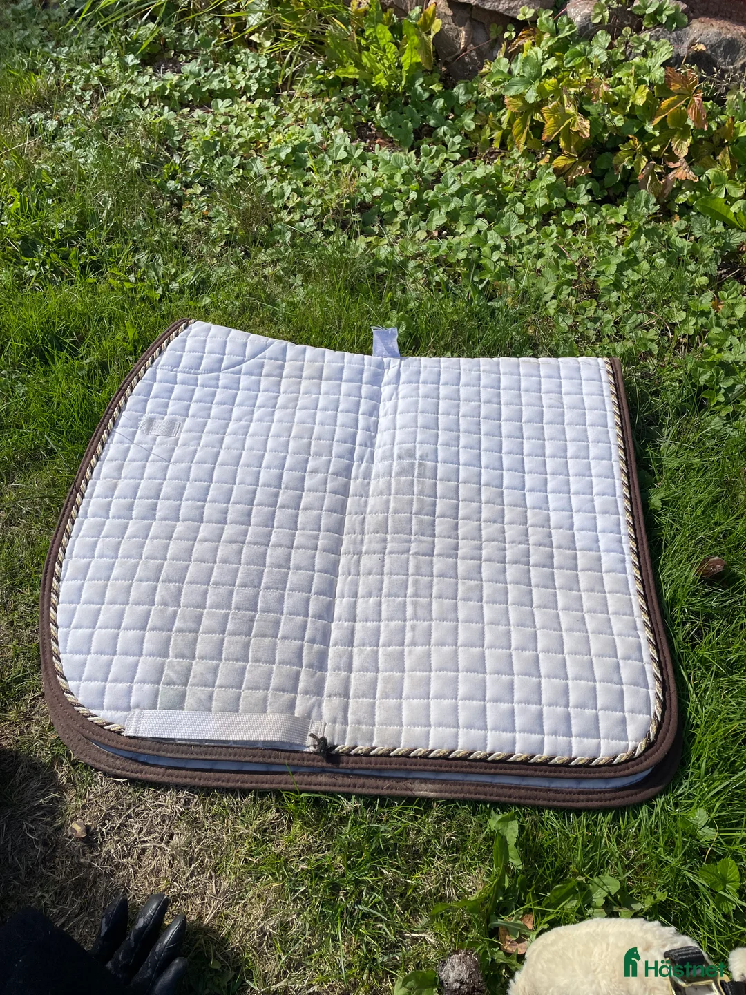 Schabrak & Vojlockar hästutrustning till salu: Fint Mia Rs schabrak i Ängelholm - Annons 1