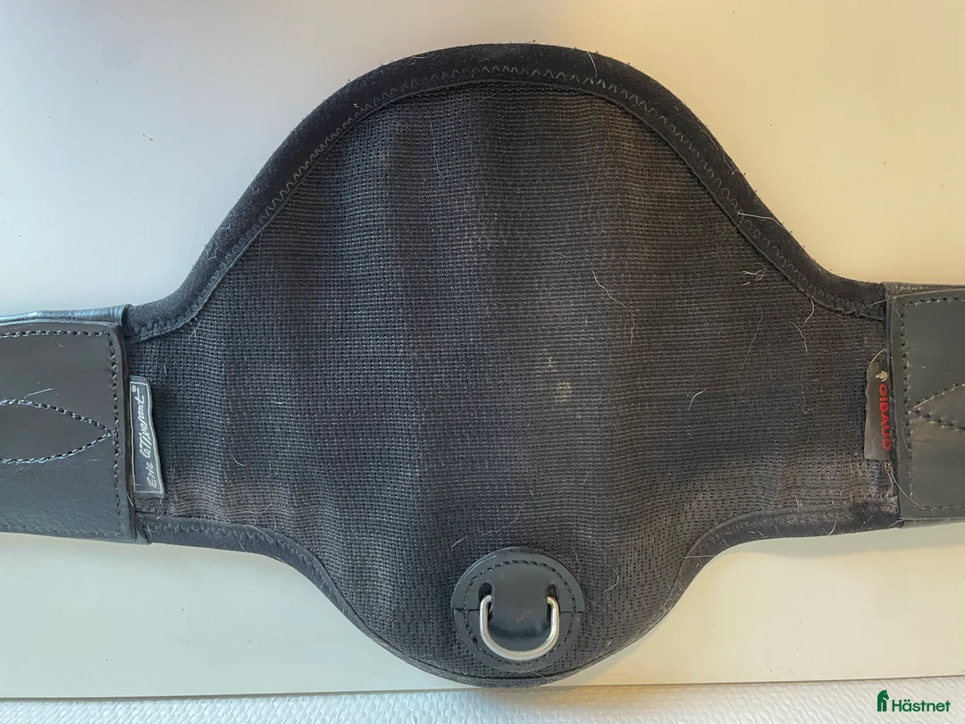 Sadeltillbehör hästutrustning till salu: ELT-hopp 130 cm i Haparanda - Annons 2