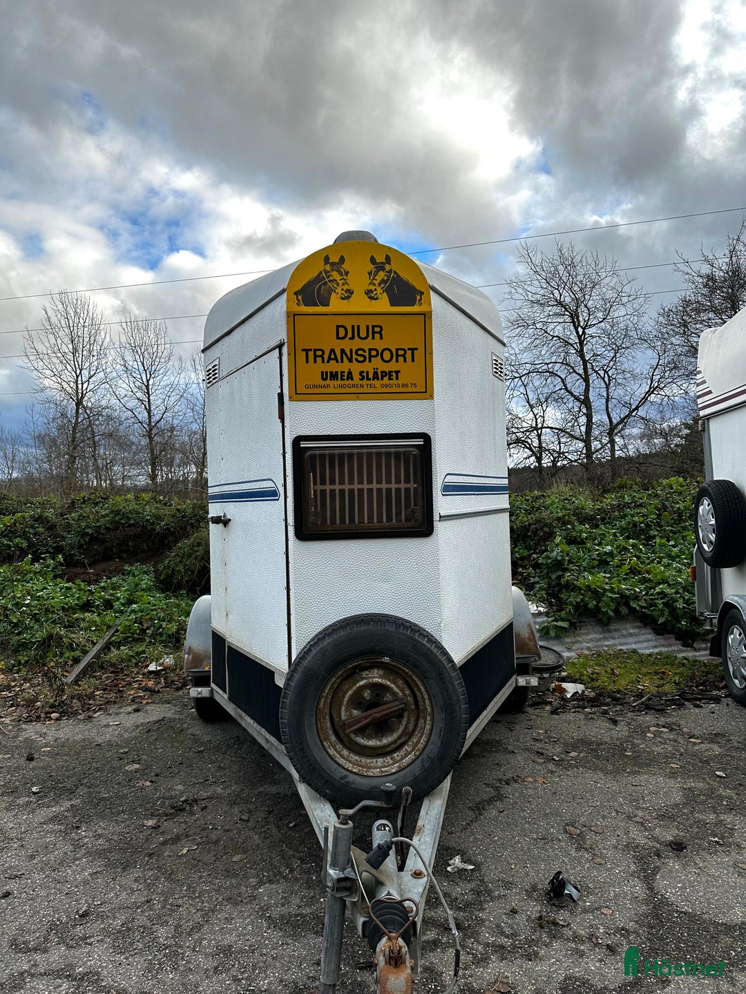 Hästtransporter  fordon & transport till salu: Låg totalvikt med hög lastvikt  i Täby - Annons 2