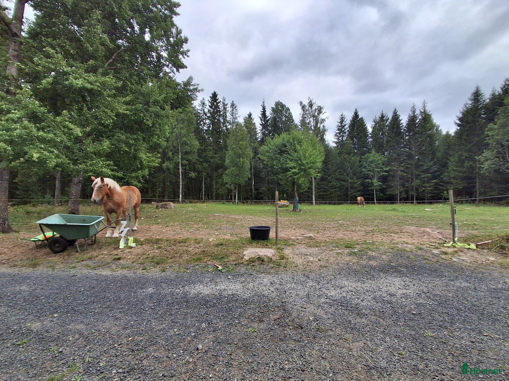 stallplats Stallplats i litet stall - Annons 12
