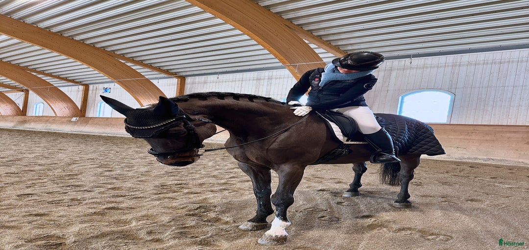 Galleribild {{count}}