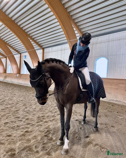 Galleribild {{count}}