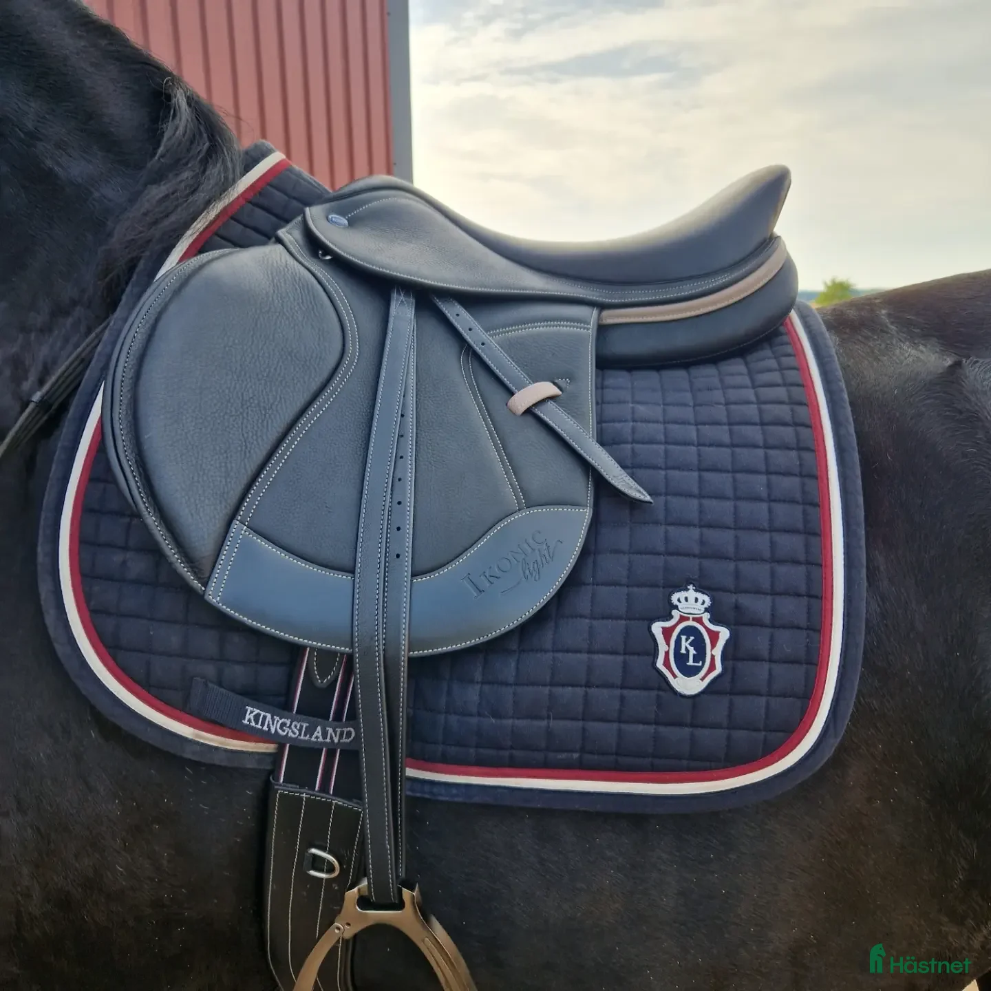 Sadlar hästutrustning till salu: Ikonic Light Allround i Axvall - Annons 4