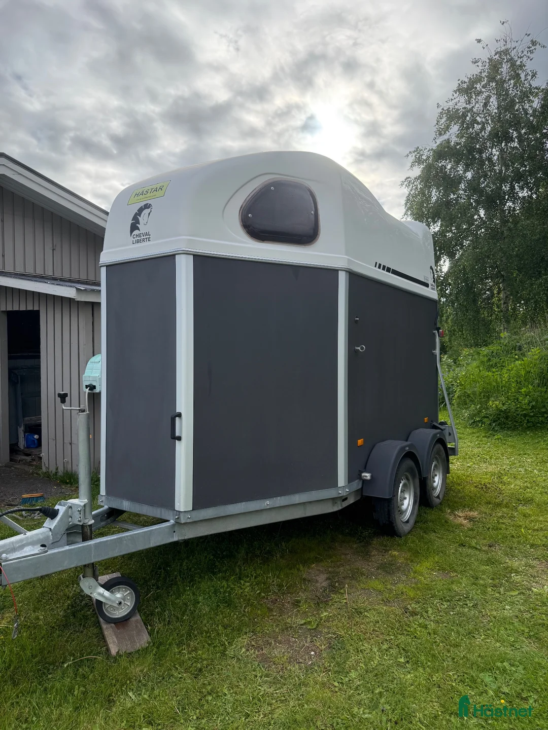 Hästtransporter  fordon & transport till salu: Cheval liberte gold - Annons 2