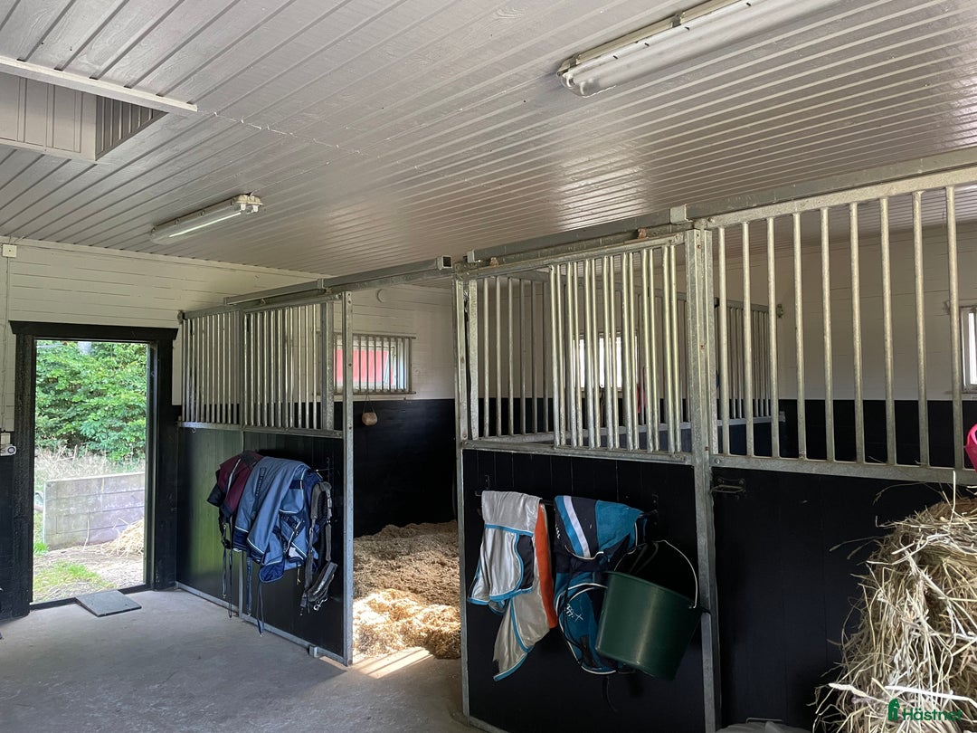  stallplats finnes: Två stallplatser uthyres i Tollarp - Annons 3