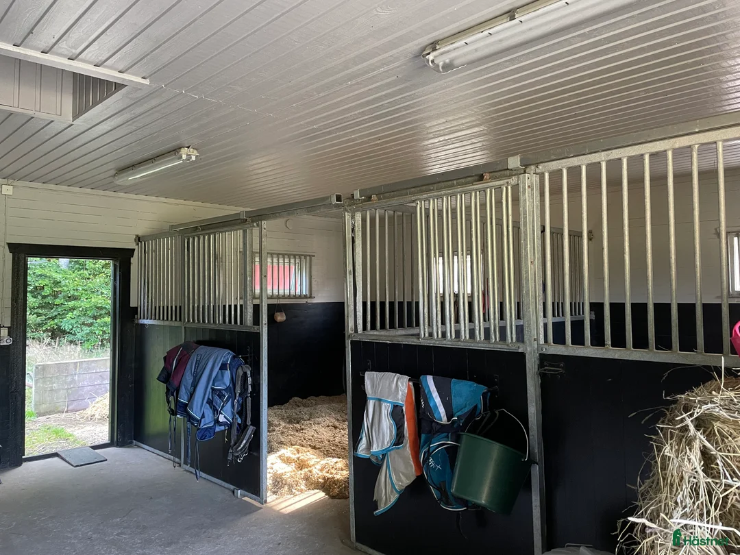  stallplats finnes: Två stallplatser uthyres i Tollarp - Annons 3