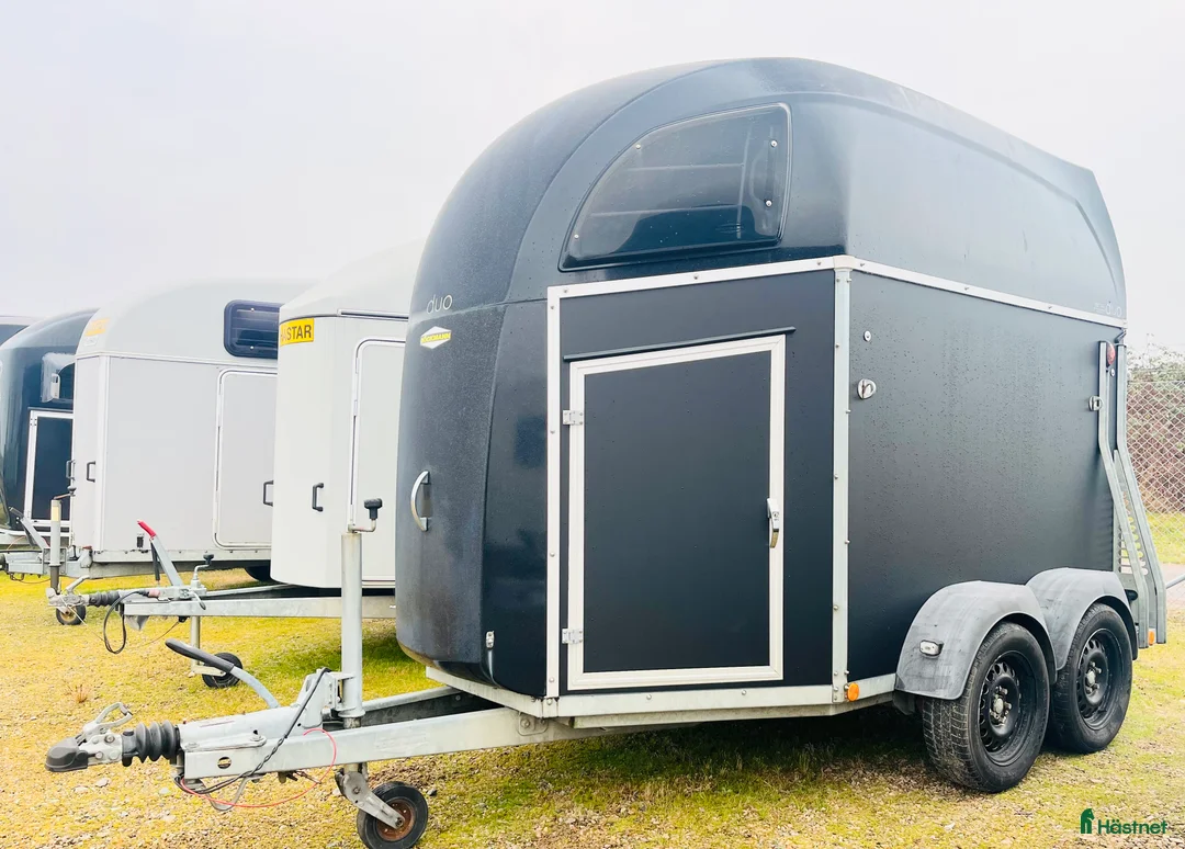 Hästtransporter  fordon & transport till salu: Böckmann Duo R med nya väggar i Klippan - Annons 1