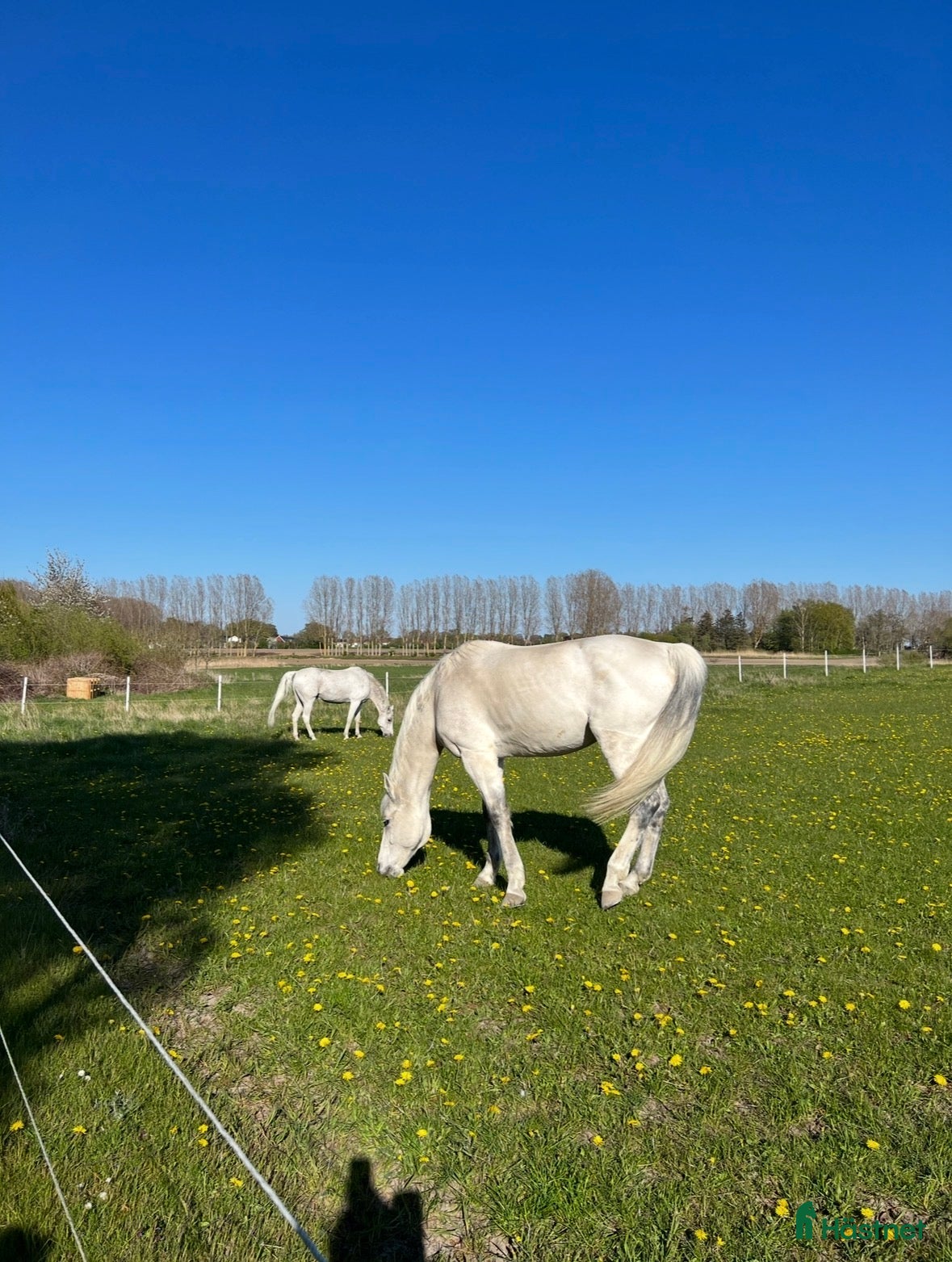  stallplats Stallplats i Strövelstorp  - Annons 2
